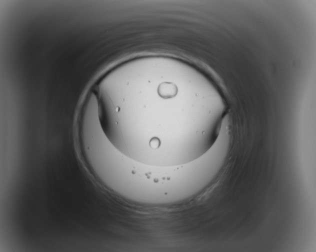 X0000087571514200705251810