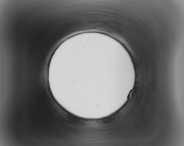 X0000087571516200705251810