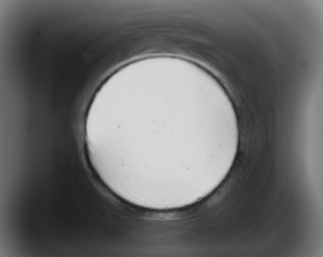 X0000087571519200705251810