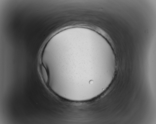 X0000087571520200705251810