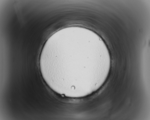 X0000087571521200705251810