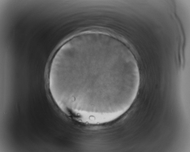 X0000087571522200705251810