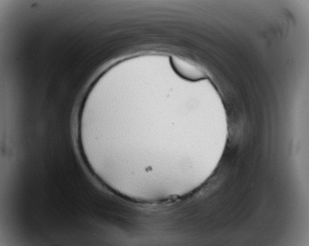 X0000087571523200705251810