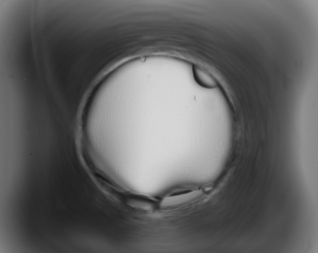 X0000087571525200705251810