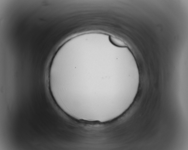 X0000087571526200705251810