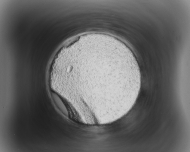 X0000087571527200705251810