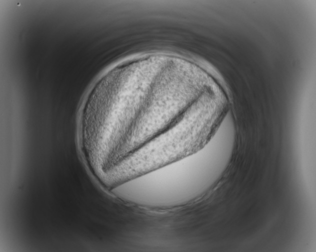 X0000087571528200705251810