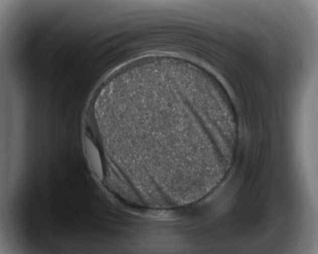 X0000087571529200705251810