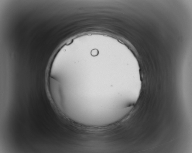 X0000087571530200705251810