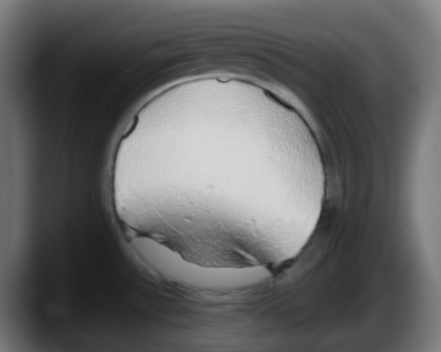 X0000087571532200705251810