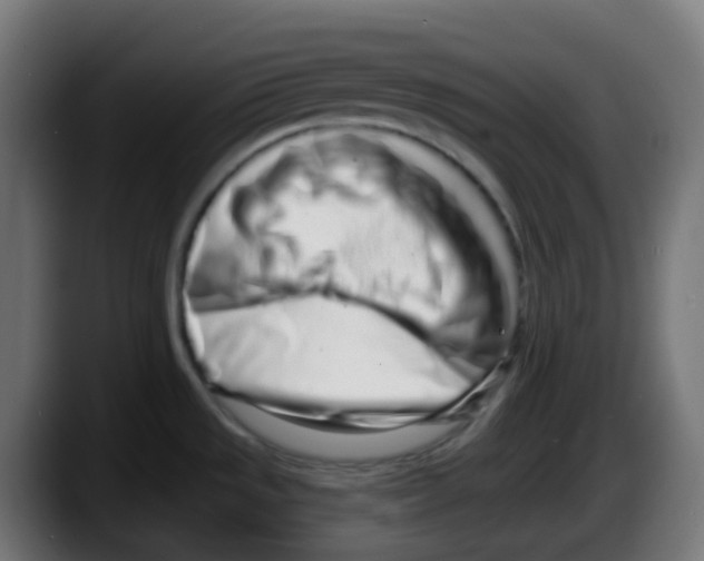 X0000087571533200705251810