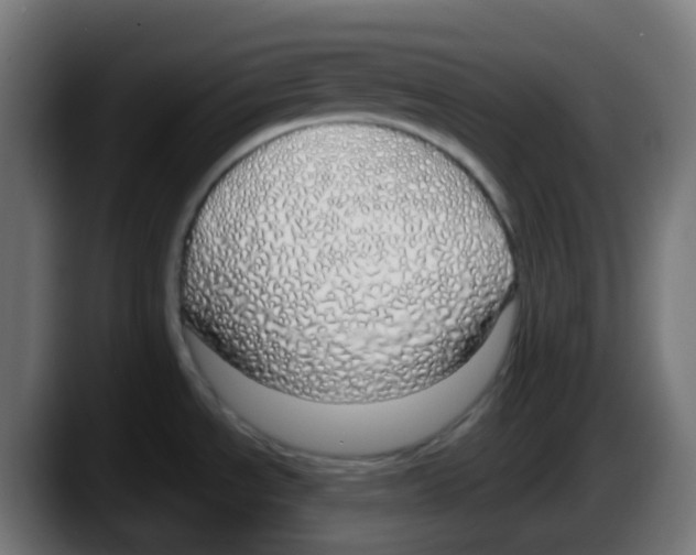 X0000087571534200705251810