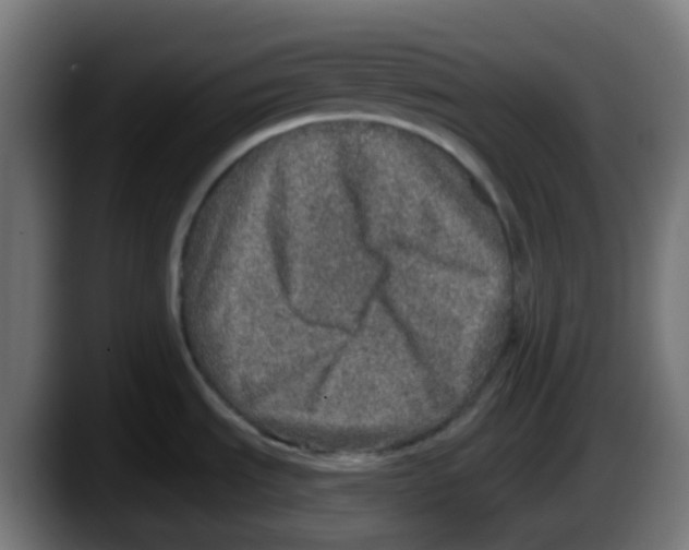 X0000087571535200705251810