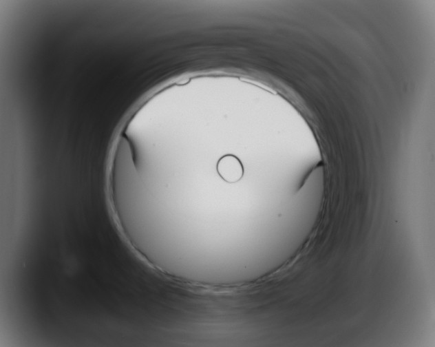 X0000087571536200705251810