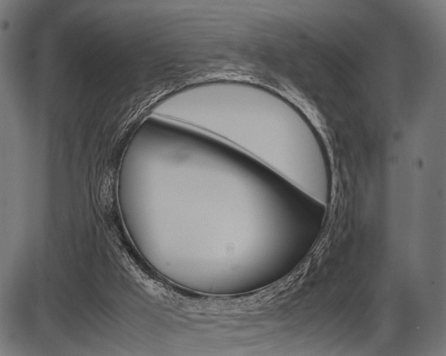 X0000087580009200704271057