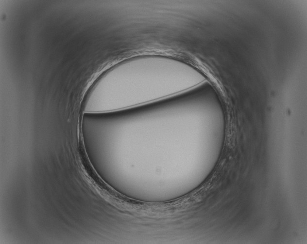 X0000087580011200704271056