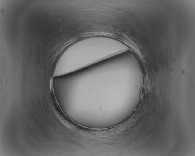 X0000087580013200704271056
