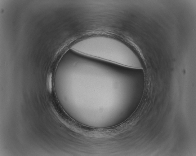 X0000087580020200704271056