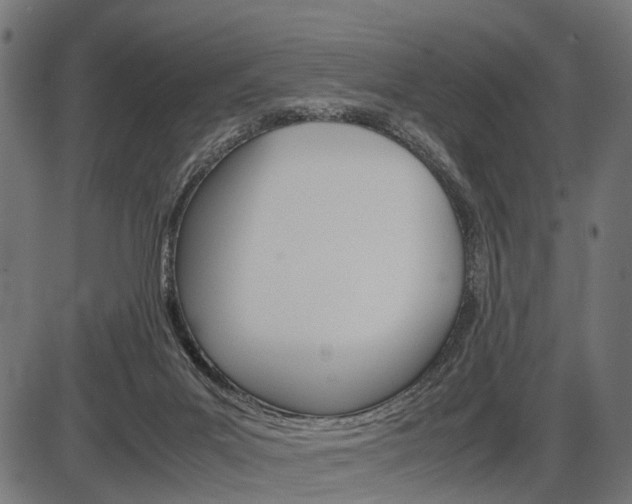X0000087580023200704271056