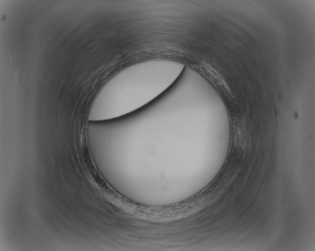 X0000087580026200704271056
