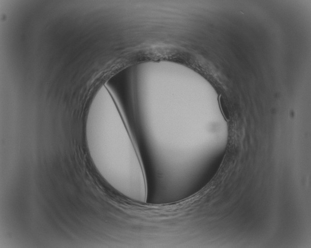 X0000087580027200704271056