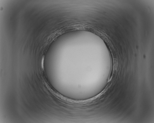 X0000087580047200704271056