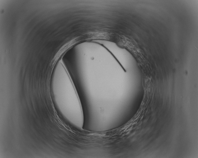 X0000087580051200704271055