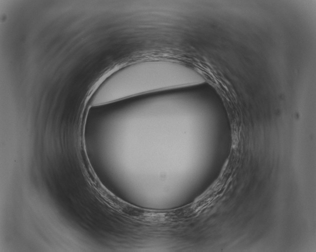 X0000087580052200704271055