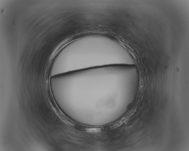 X0000087580053200704271055
