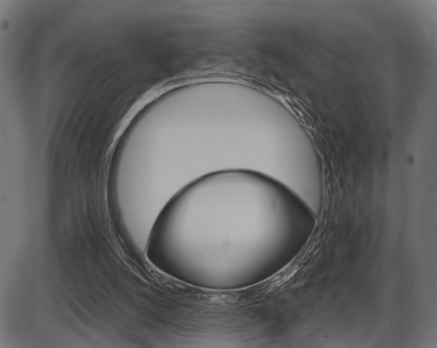 X0000087580056200704271055