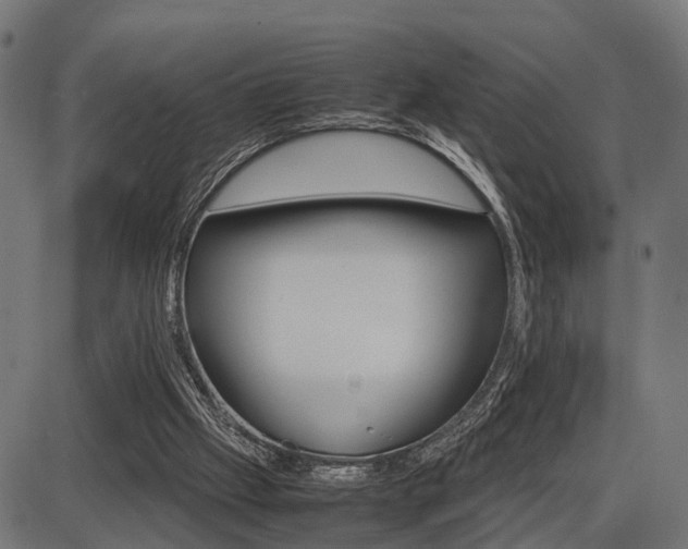 X0000087580057200704271055