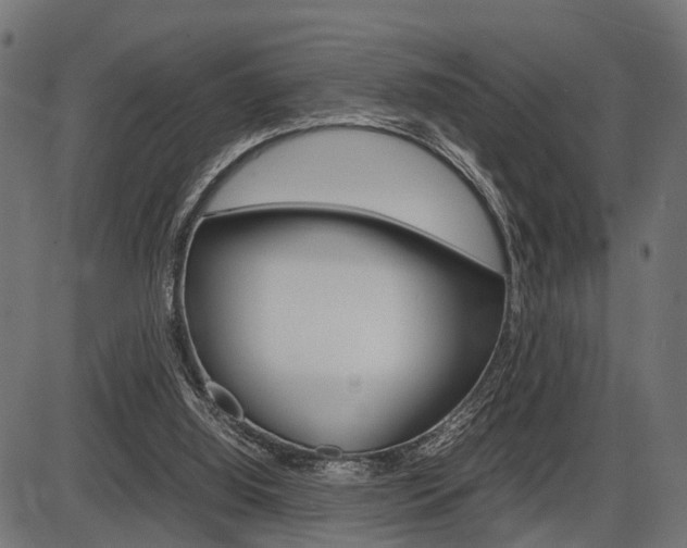X0000087580060200704271055