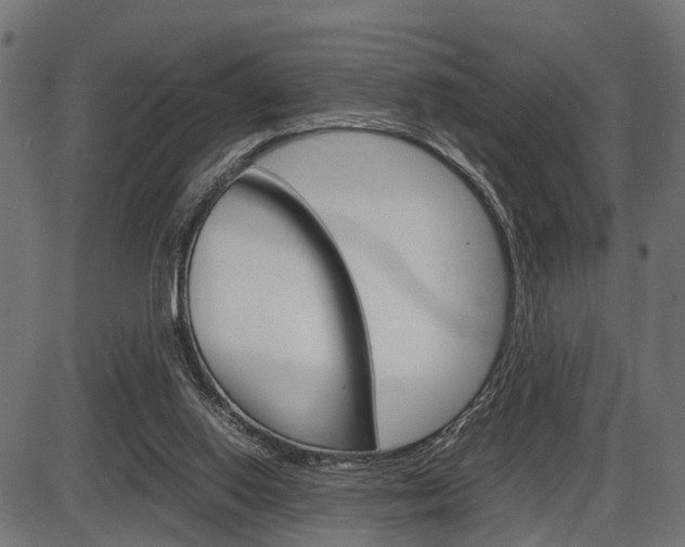 X0000087580062200704271055