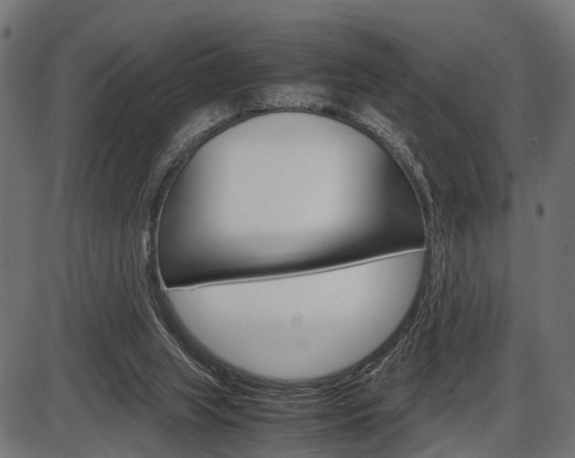 X0000087580063200704271055