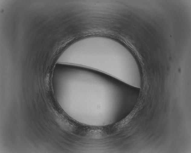 X0000087580066200704271055