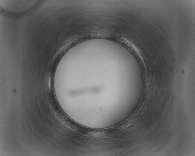 X0000087580067200704271055