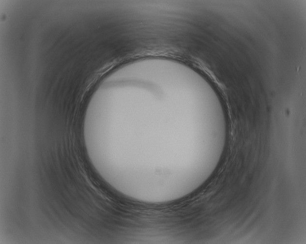X0000087580068200704271055