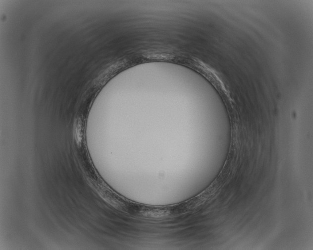 X0000087580069200704271055