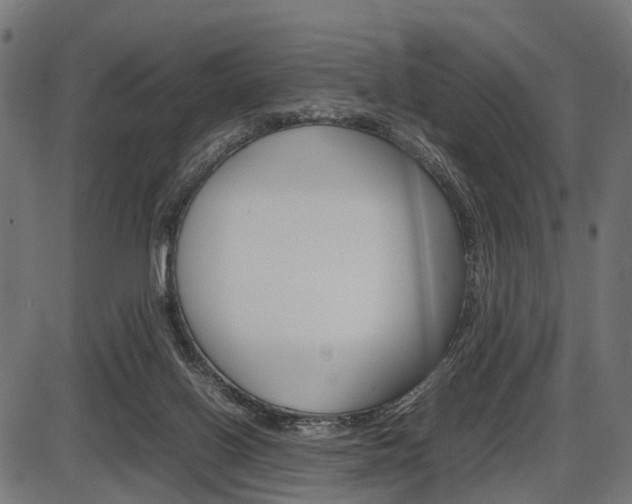X0000087580070200704271055