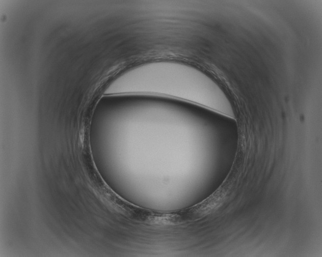 X0000087580072200704271055