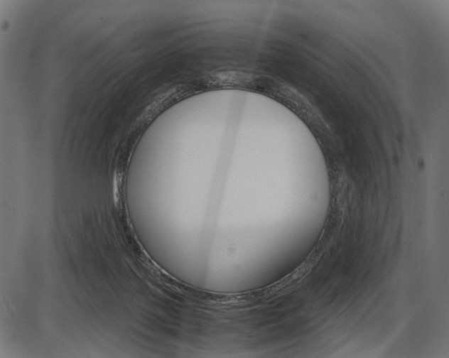 X0000087580075200704271056