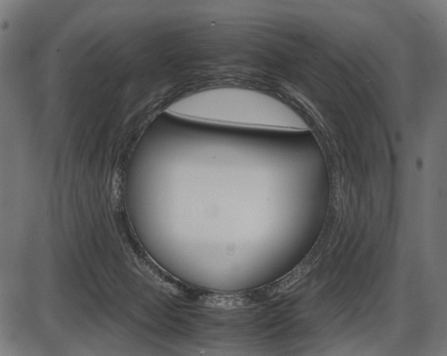 X0000087580077200704271056