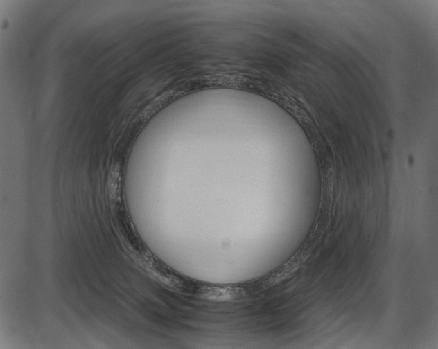 X0000087580083200704271056