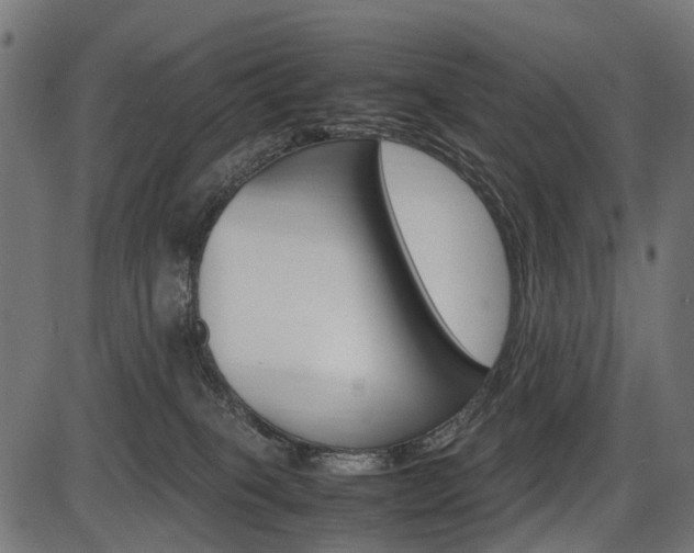 X0000087580085200704271056