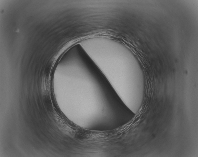 X0000087580100200704271055