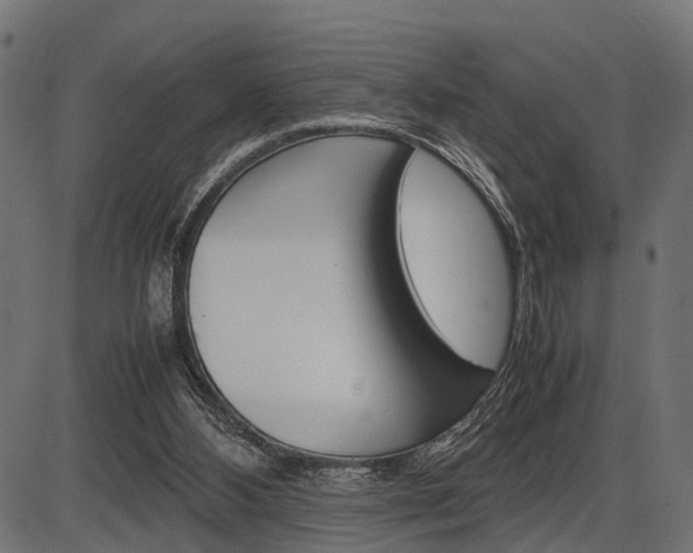 X0000087580108200704271055