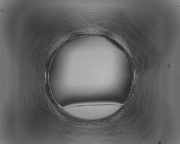 X0000087580109200704271055