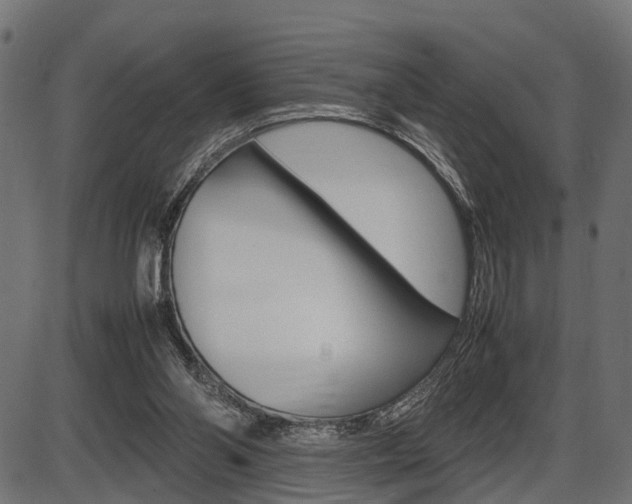 X0000087580110200704271055