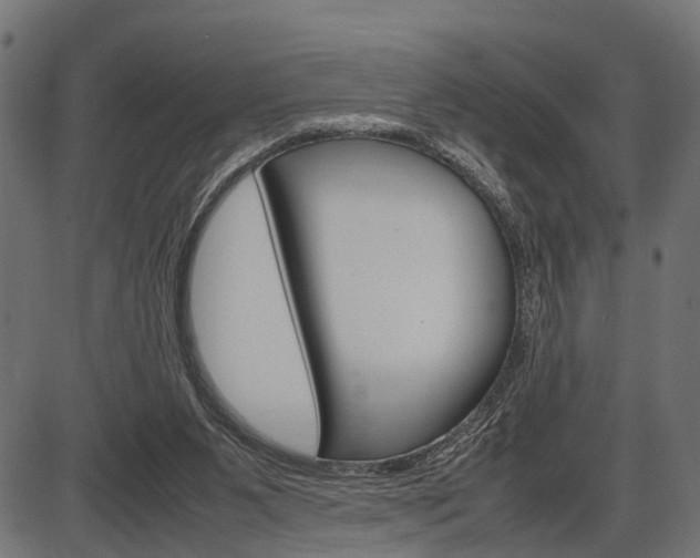 X0000087580111200704271055