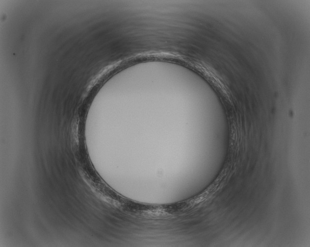 X0000087580112200704271055